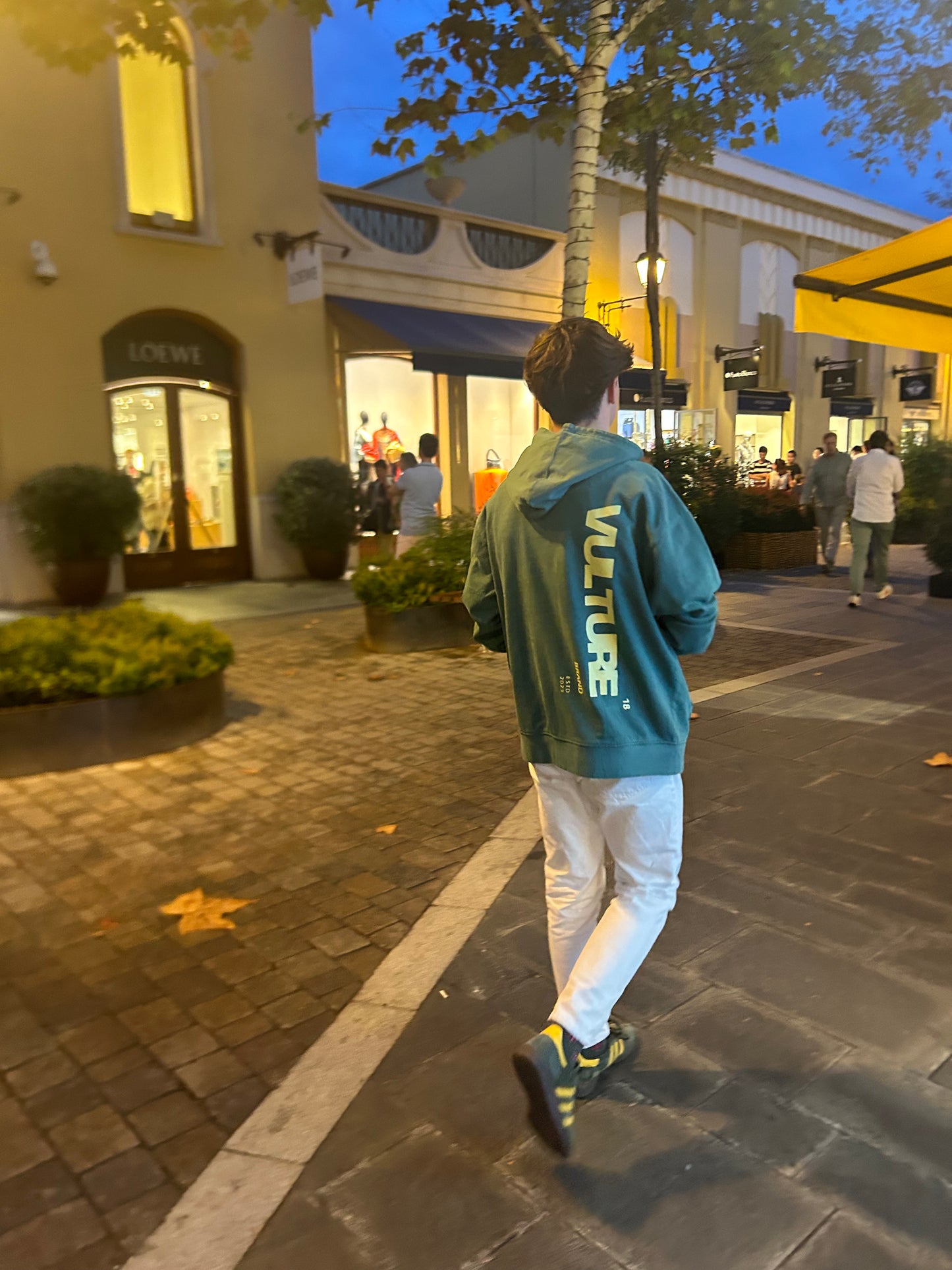 Hoodie Vulture green